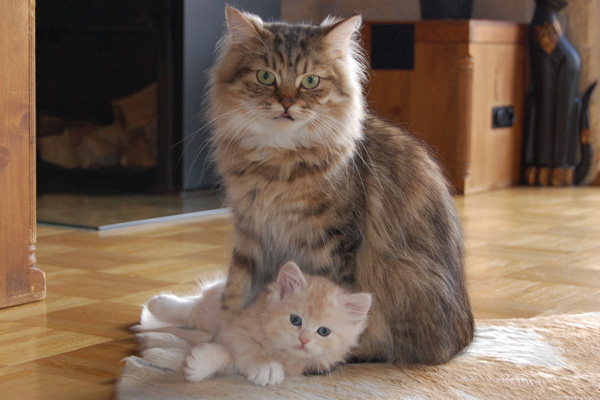 mit Mama Nikita.jpg